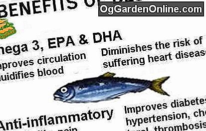 Eigenschaften von blauem Fisch